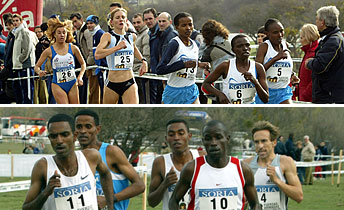 Cross de Soria Cross de Soria