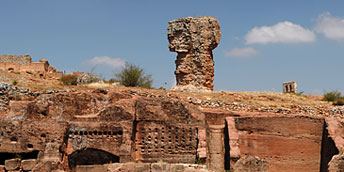 Image Image